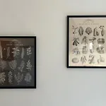 Michelangelo - Casa Babette